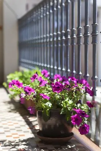 Apartment Sibsbcn- Rambla- Family Friends Business Central Barcelona